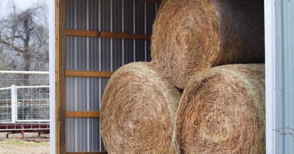 Large round hay bales are stored inside a metal-sided agricultural building with a wide-open entrance.